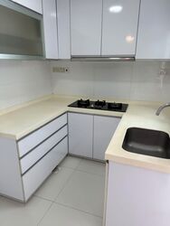Coastal View Residences (D17), Apartment #591089981